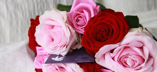 Euroflorist