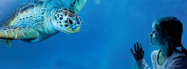 Sea Life Blankenberge