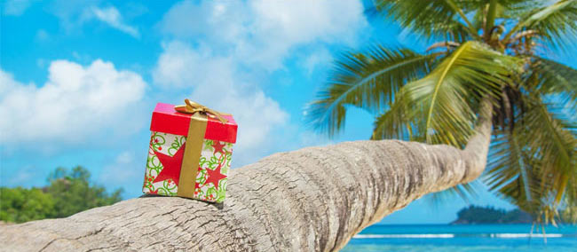 TravelBird